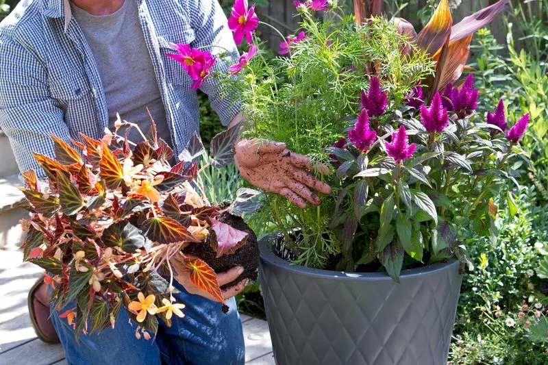 7. Use Companion Planting