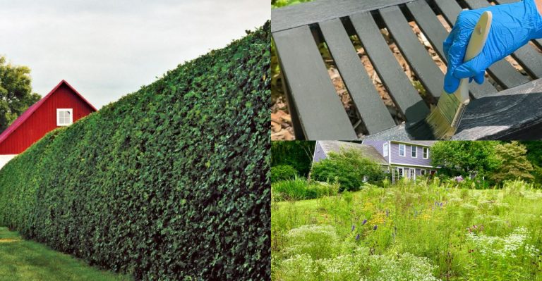 8 Signs Your Garden Design Is Outdated (And 7 Modern Touches That Add Instant Appeal)