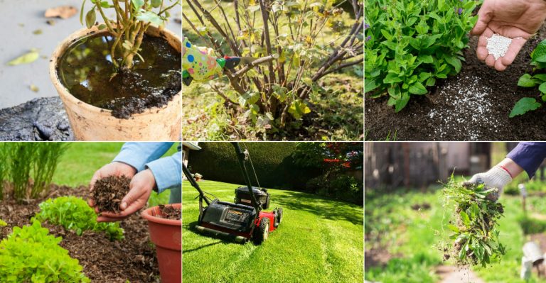 9 Garden Tasks You’re Doing Too Frequently (And 9 You’re Not Doing Often Enough)
