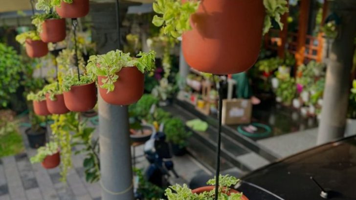 9 Ways to Create a Garden Oasis in Small Urban Spaces