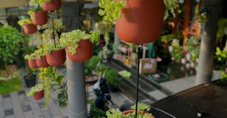 9 Ways to Create a Garden Oasis in Small Urban Spaces