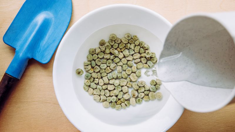Accelerates Germination