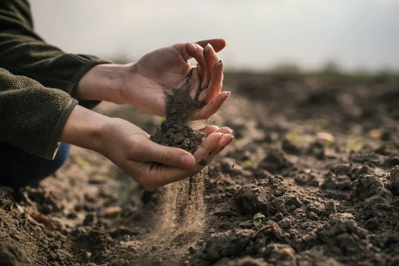 Alkaline Soil