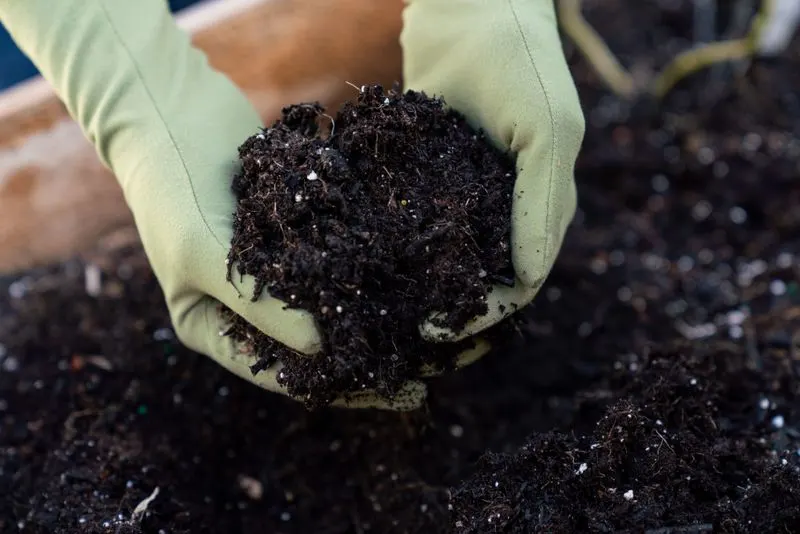 Acidic or Alkaline Soil