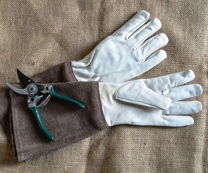 Adaptive Gardening Gloves