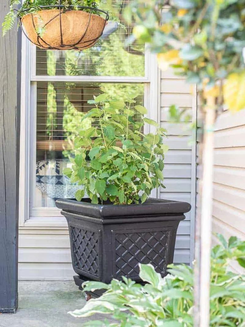 Add a Decorative Touch