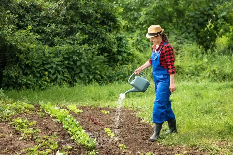 Adopt Organic Gardening Practices