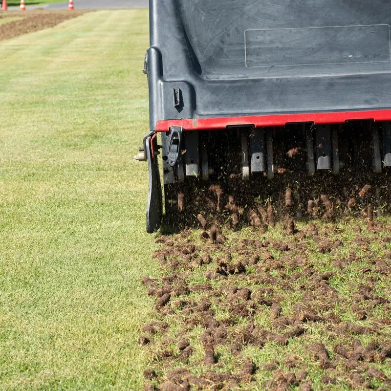 Aerate Your Lawn