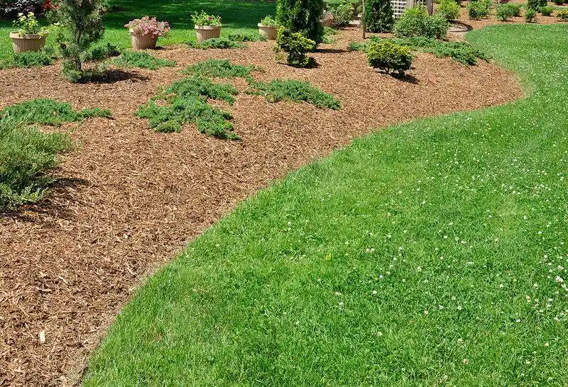 Mulching Benefits