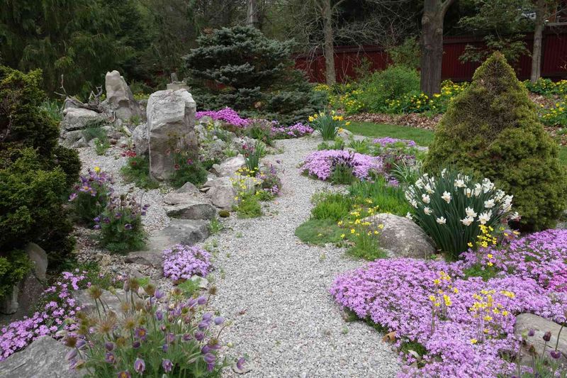 Alpine Rock Garden