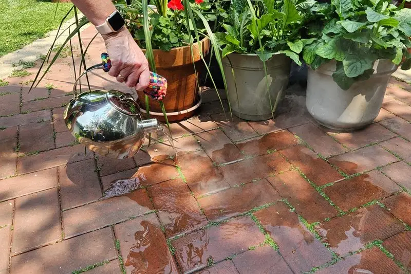 Alternative: Boiling Water for Weeds