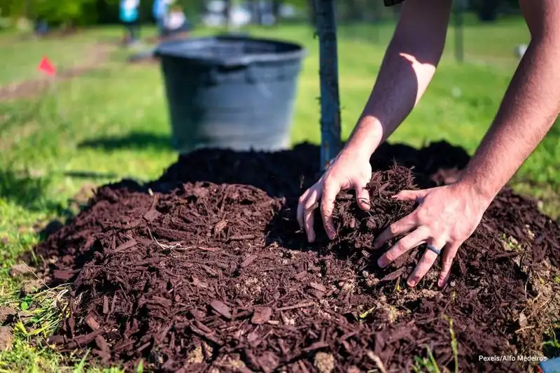 Alternative: Mulching for Weed Prevention