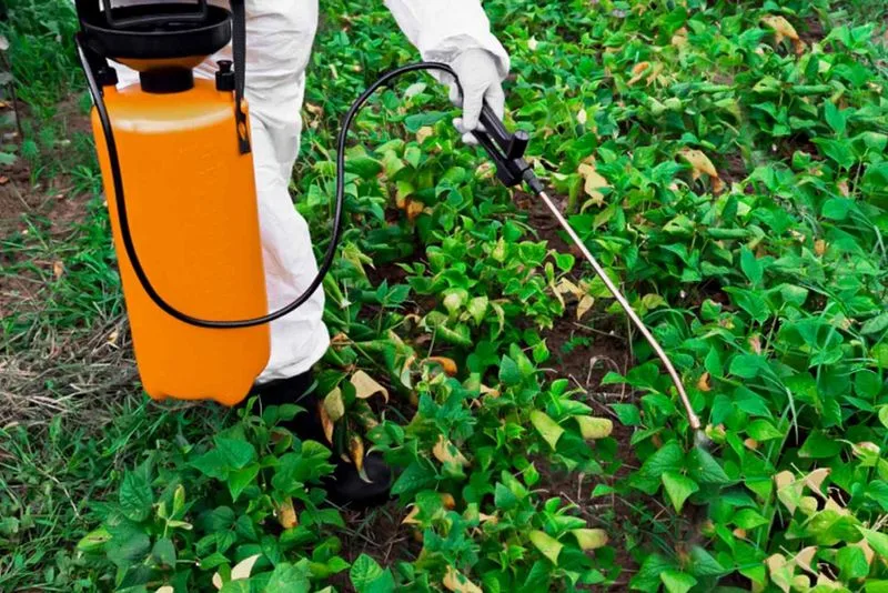 Alternative: Organic Herbicides