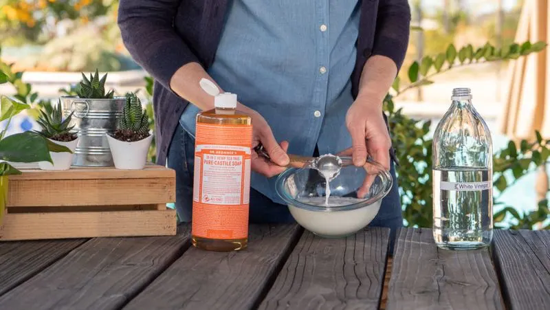 Alternative: Vinegar Soap Solution