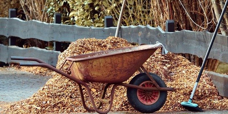 Using Contaminated Mulch