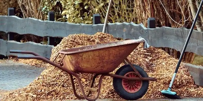 Using Contaminated Mulch