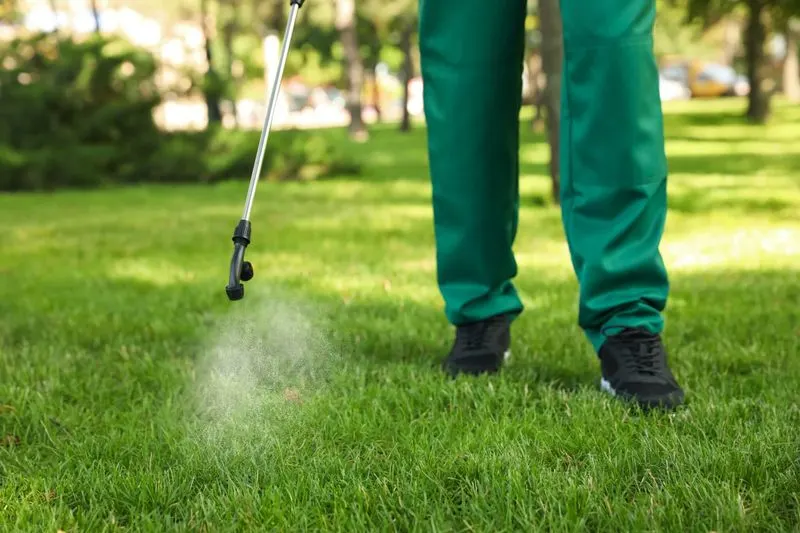 Applying Pre-Emergent Herbicide