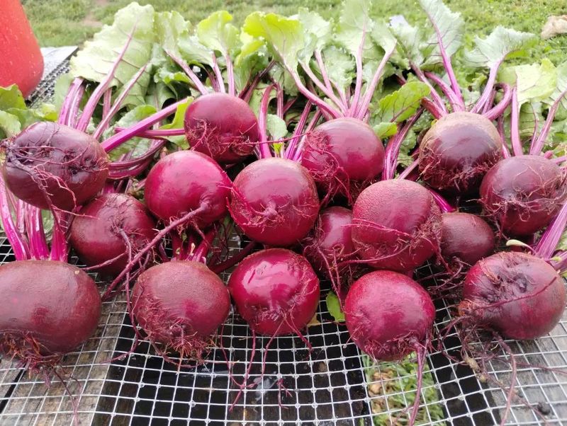 Beets