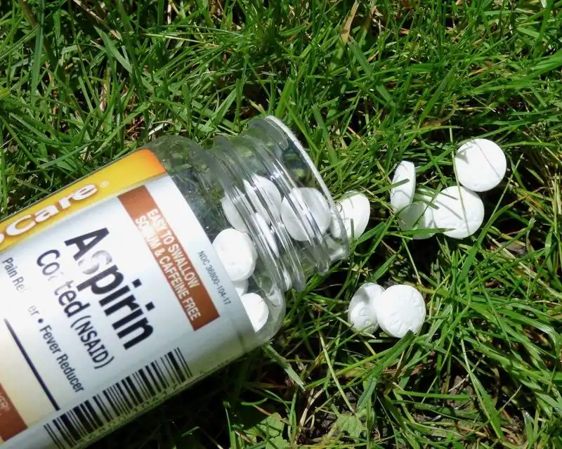 Aspirin in Water for Plant Health
