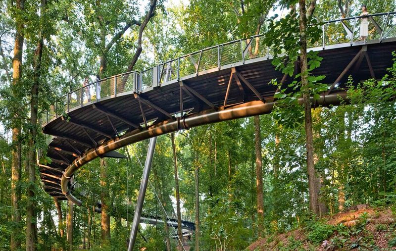 Atlanta Botanical Garden's Canopy Walk