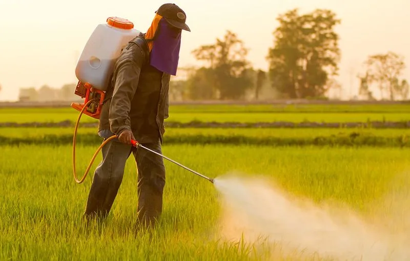 Avoid Using Chemical Pesticides