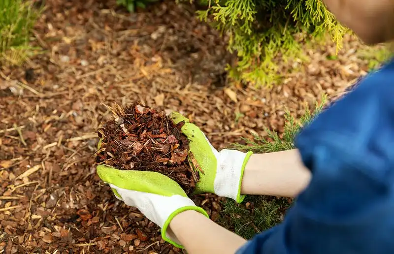 Don't Neglect Mulching