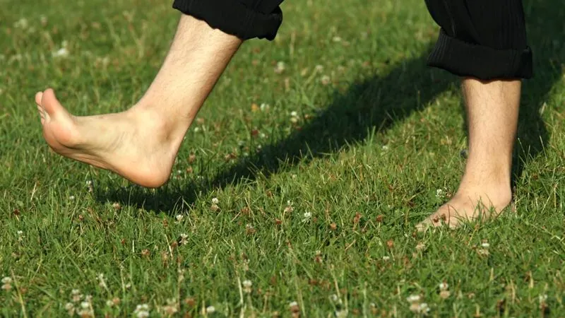 Avoid Walking on Wet Grass
