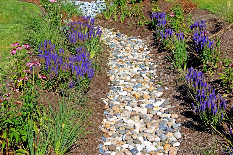 Install a French Drain