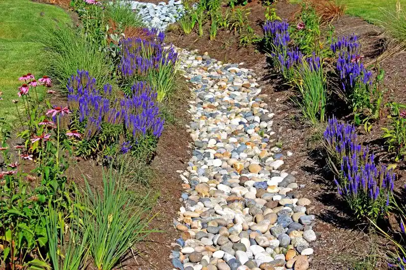 Install a French Drain