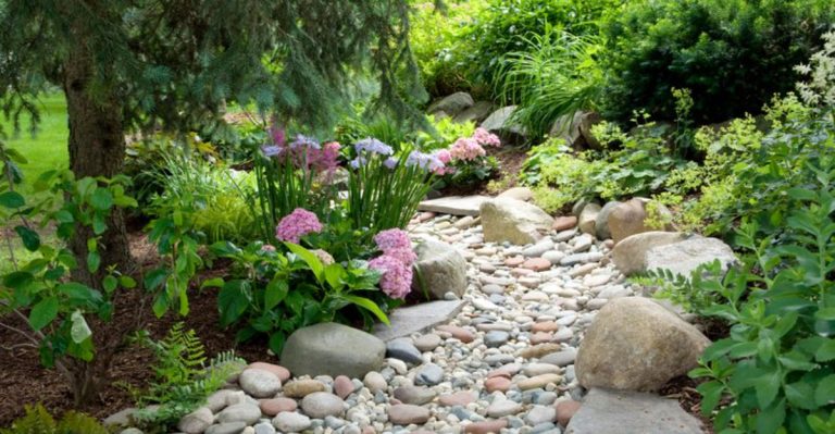Backyard Drainage Problems? 11 Landscaping Fixes That Won’t Break the Bank