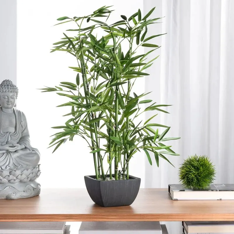 Bamboo