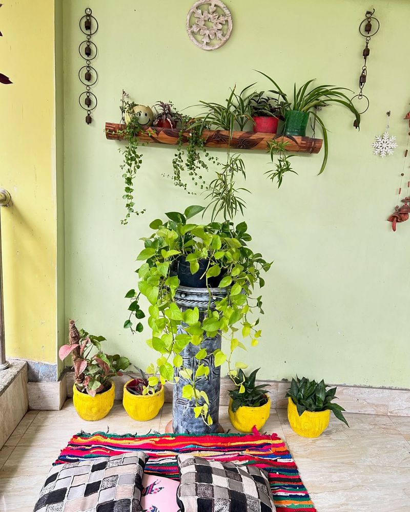 Bamboo Planter Wall