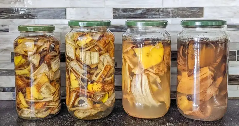 Banana Peel Elixir
