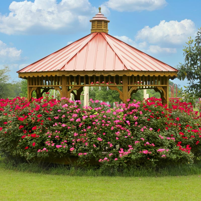 Rose and Raspberry Pavilion