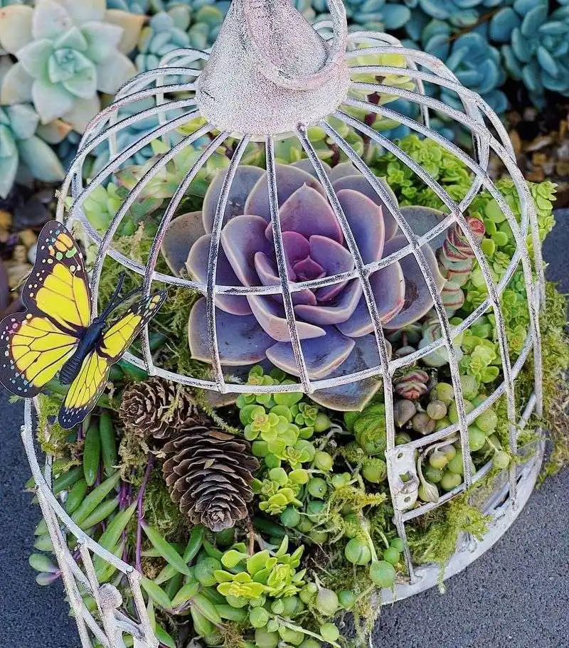 Birdcage Planters