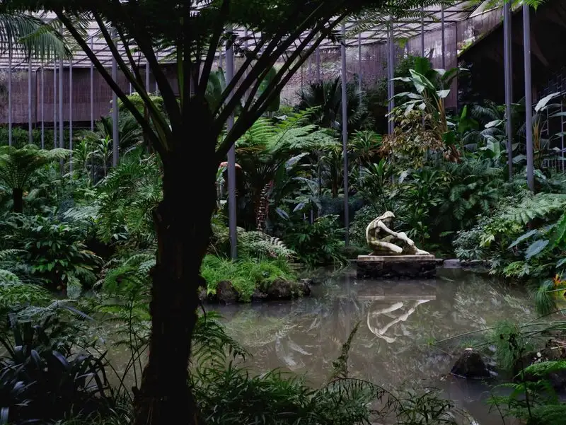 Botanical Jellyfish of Lisbon