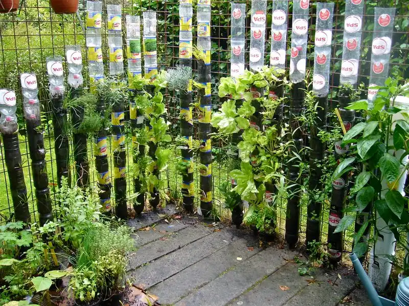 Bottle Tower Gardens
