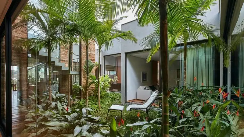 Brazilian Tropical Garden