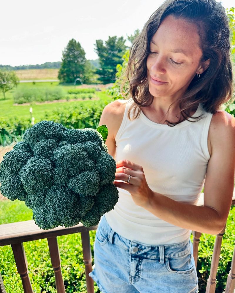 Broccoli