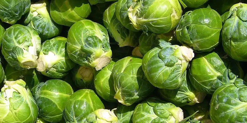 Brussels Sprouts (Struggles)