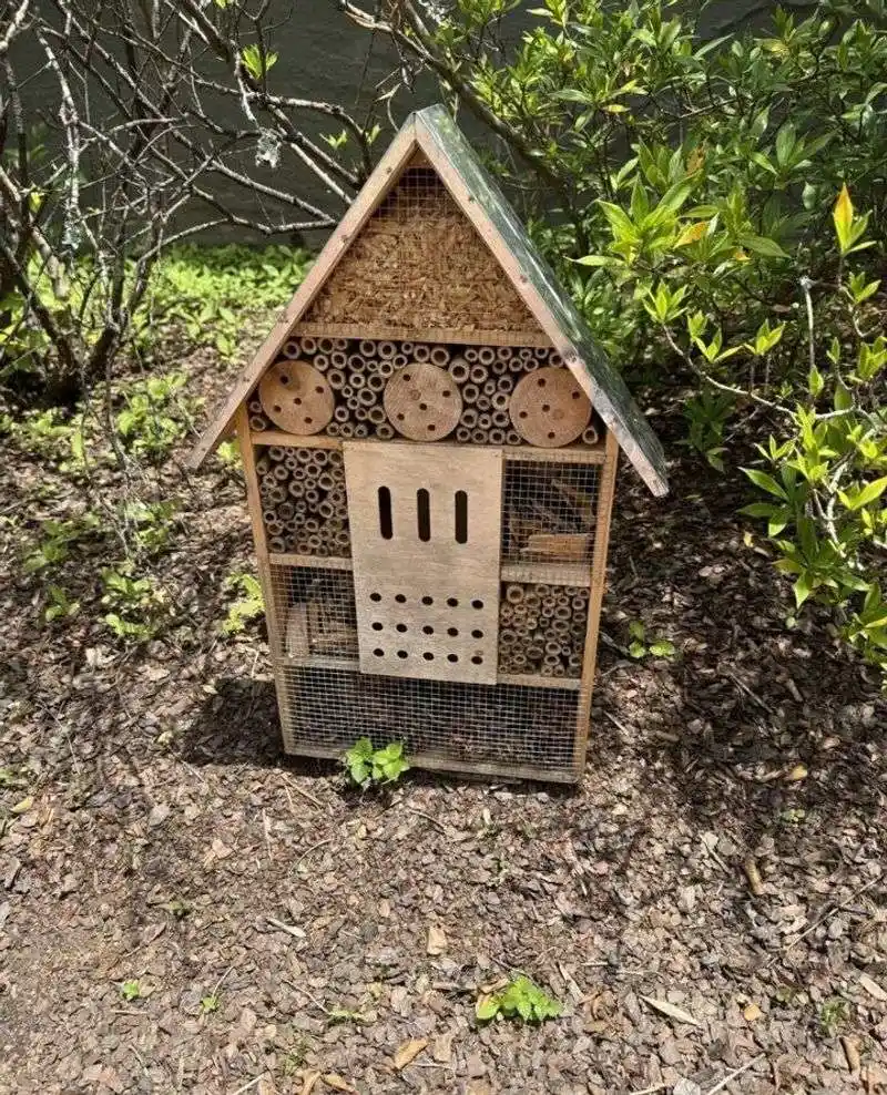 Build Bee Hotels