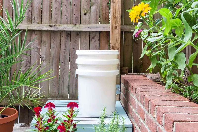 Build Compost Bins