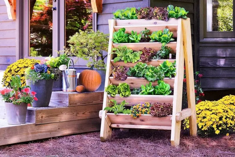 Build a Vertical Garden