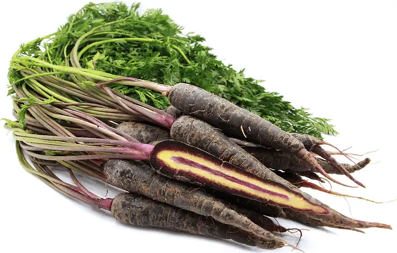 Corkscrew Carrot