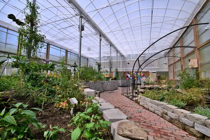 Butterfly Haven Garden