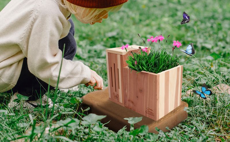 Butterfly Haven Planter