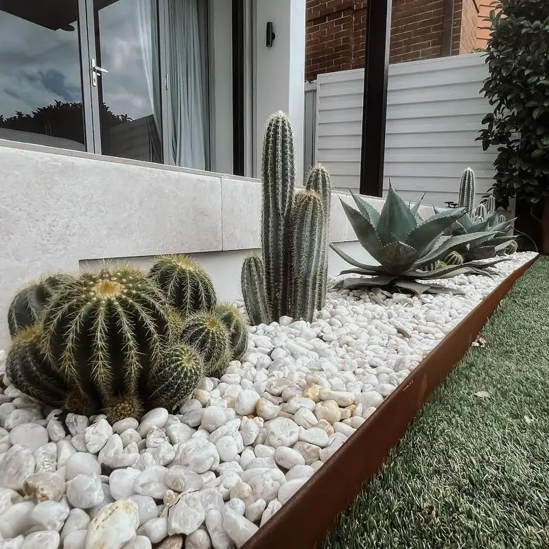 Cactus and Pebble Oasis