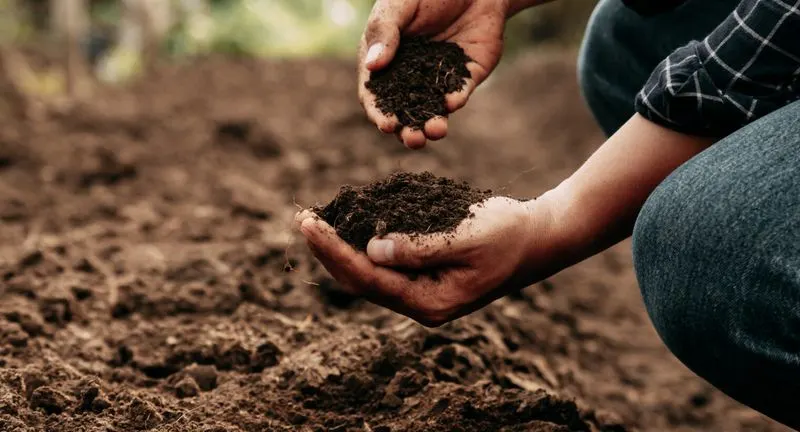 Caring for Your Soil
