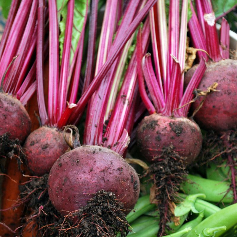 Beets