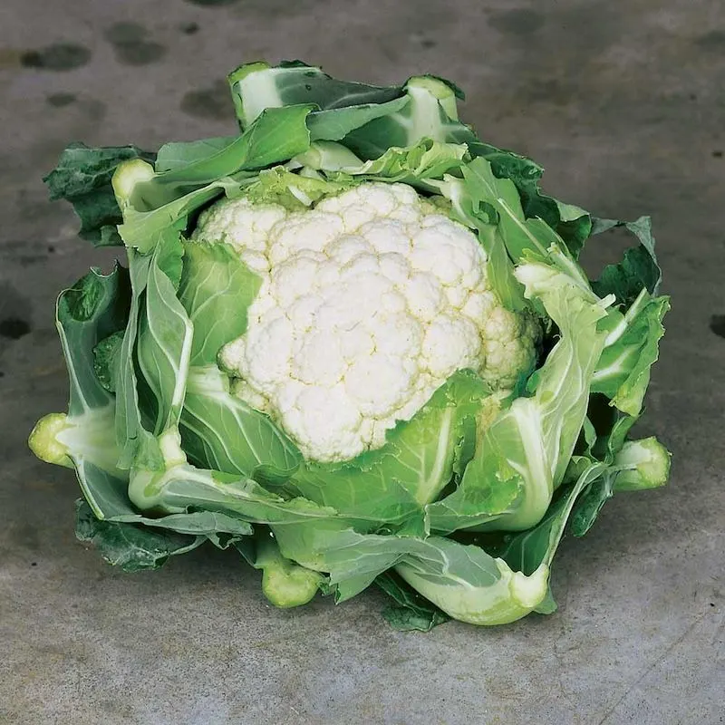 Cauliflower (Struggles)